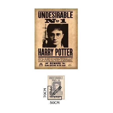 KDOT Harry Potter Undesirable No. 1 Kanvas Tablo (50x70 cm) - Çerçevesiz